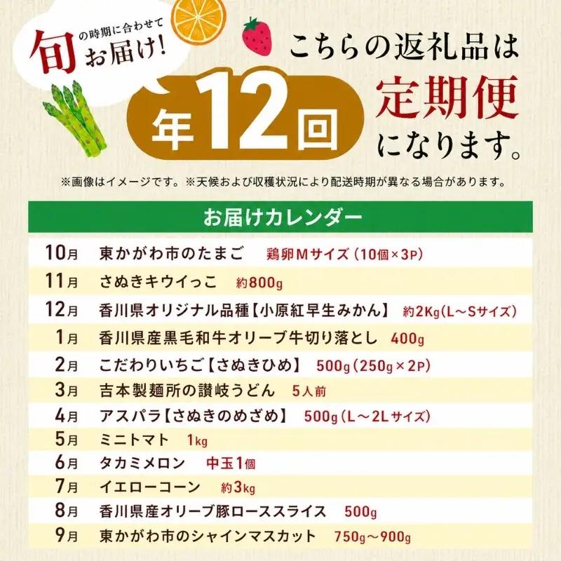 東かがわ市ちょこっと定期便(12回) 卵 キウイ 黒毛和牛 みかん いちご 讃岐うどん アスパラ トマト メロン コーン 豚肉 シャインマスカット 香川