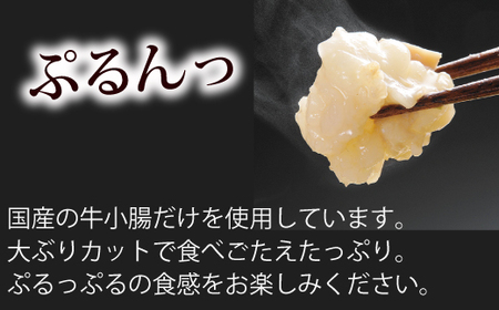博多もつ鍋やまや もつ鍋セットあごだし醤油味（5-6人前）【やまや】_HA1703