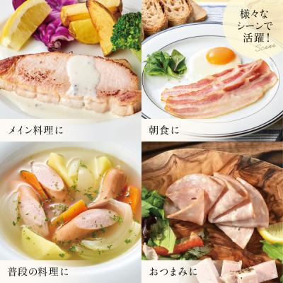 ふるさと納税 南さつま市 【マイスター山野井】ハム・ソーセージ 5種 詰合せ 計10P  ギフト 贈答 冷蔵 |  | 01