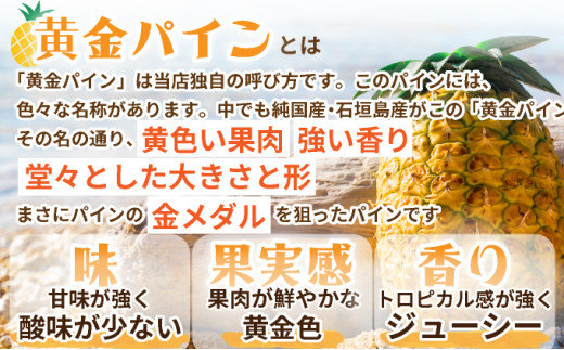＜先行予約＞ 石垣島産 黄金パイン 中玉 4玉 約5.2kg ＜2026年7月以降発送＞【 産地直送 沖縄 石垣 フルーツ パイナップル パイン 黄金パイン 】 SI-122 中玉 4玉 約5.2kg