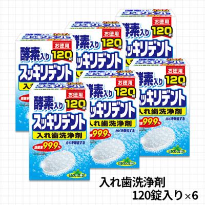 ふるさと納税 有田市 有田市製造 入れ歯洗浄剤セット 6箱入り