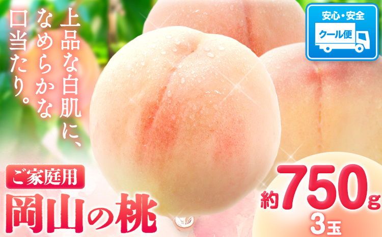 【先行予約】岡山の桃 約750g 《2026年6月下旬-9月上旬頃出荷》 ご家庭用 訳あり 白桃 岡山 はくとう スイーツ フルーツ 果物 デザート 旬 モモ もも 先行予約 送料無料 果物 岡山県 笠岡市 清水白桃 白鳳 白麗 クール便---kasaoka_zsy_148_750---