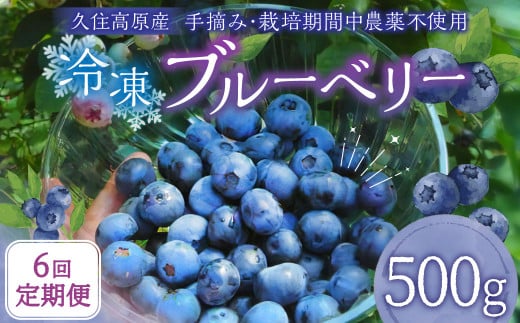 【6回 定期便】久住高原 冷凍 ブルーベリー 500g 計3kg 栽培期間中農薬不使用 手摘み 【2025年7月下旬より順次発送開始予定】