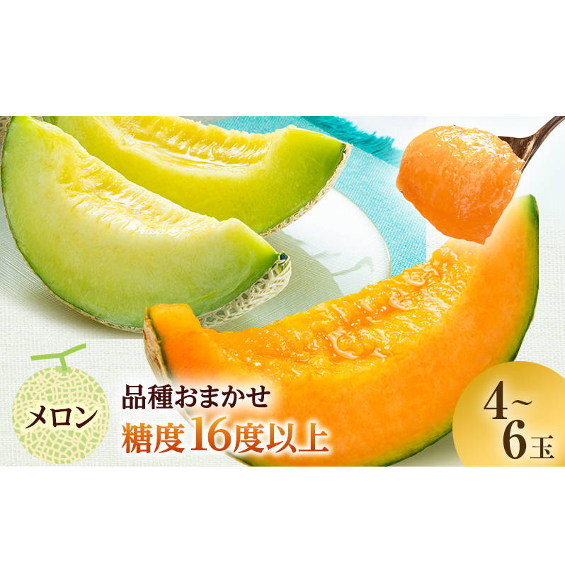 メロン 先行 予約 青森 減農薬栽培メロン 4～6玉 糖度16度以上保証 減農薬 青肉 赤肉 青肉メロン 赤肉メロン フルーツ 果物 旬のフルーツ 旬の果物 旬 夏 レビュー 高評価 先行予約 2025 2025年 青森県