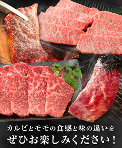 熊本和王食べ比べセット カルビ・モモ 合計約300g ケーズフードマーケティング