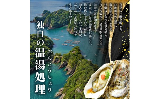 【スピード発送】 訳あり 牡蠣 10kg かき カキ kaki 牡蠣 冷凍 岩手県産 殻付き牡蠣 生食 訳あり わけあり 大きさ不揃い 不揃い 三陸 三陸産 株式会社國洋 岩手県 大船渡市