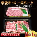 【ふるさと納税】【常陸牛・ローズポークステーキ焼肉セット(5~7人前)】 常陸牛 サーロインステーキ 約600g(300g×2枚) ローズポーク焼肉用 約400g (ロース200g ばら200g) ( 茨城県共通返礼品・茨城県産 ) ブランド牛 国産 黒毛和牛 牛肉 ブランド豚 豚肉 ステーキ 焼肉