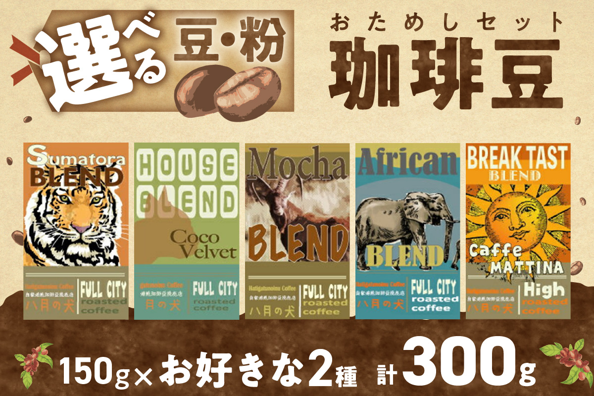 5種類から２つ選べる　 自家焙煎コーヒー豆　お試しセット　300ｇ（約30杯分）挽き方が選べる　八月の犬 飲料 珈琲 こーひー コーヒー coffee　HA00020