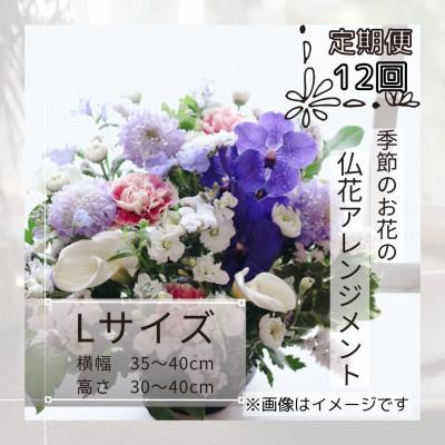 ふるさと納税 筑西市 【毎月定期便】仏花アレンジメント/Lサイズ〜花瓶不要!届いてそのまま飾れます。全12回
