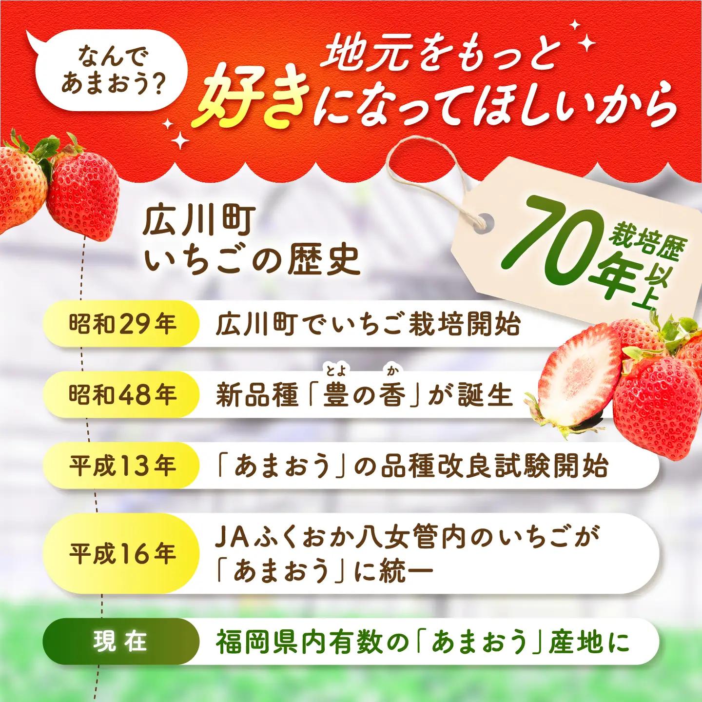 【2回定期便】いちご（あまおう）G等級 1ケース / あまおう[AFAB083]