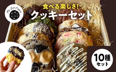 クッキー10種セット  クッキー 焼菓子 洋菓子 チョコレート 抹茶 バニラ オレオ レモン ホワイトチョコ キャラメル イチゴ パイン 奈良県 生駒市 送料無料