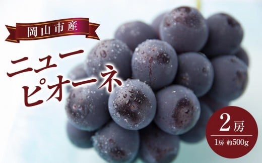 
            ぶどう 2026年  ニュー ピオーネ 2房（1房約500g） ブドウ 葡萄  岡山市産 国産 フルーツ 果物 ギフト
          