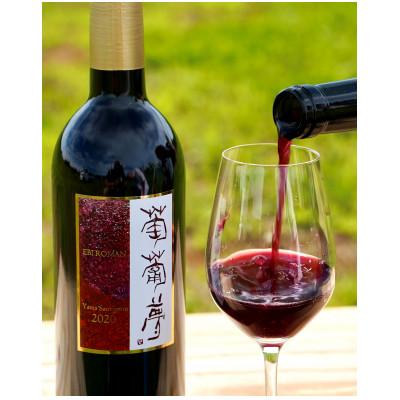 ふるさと納税 喜多方市 WINERY JUN【福島の恵み　りんごとぶどう酒(Bセット)】750ml×2本 |  | 03