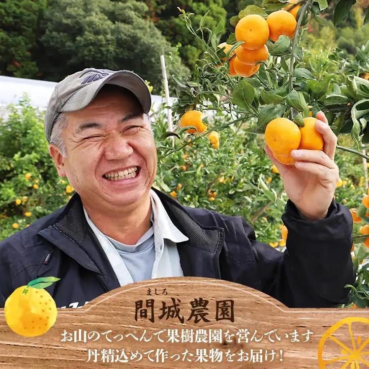 間城農園 甘い完熟みかん 寿太郎 (家庭用) 5kg【寿太郎みかん くだもの 柑橘 フルーツ】 ms-0087