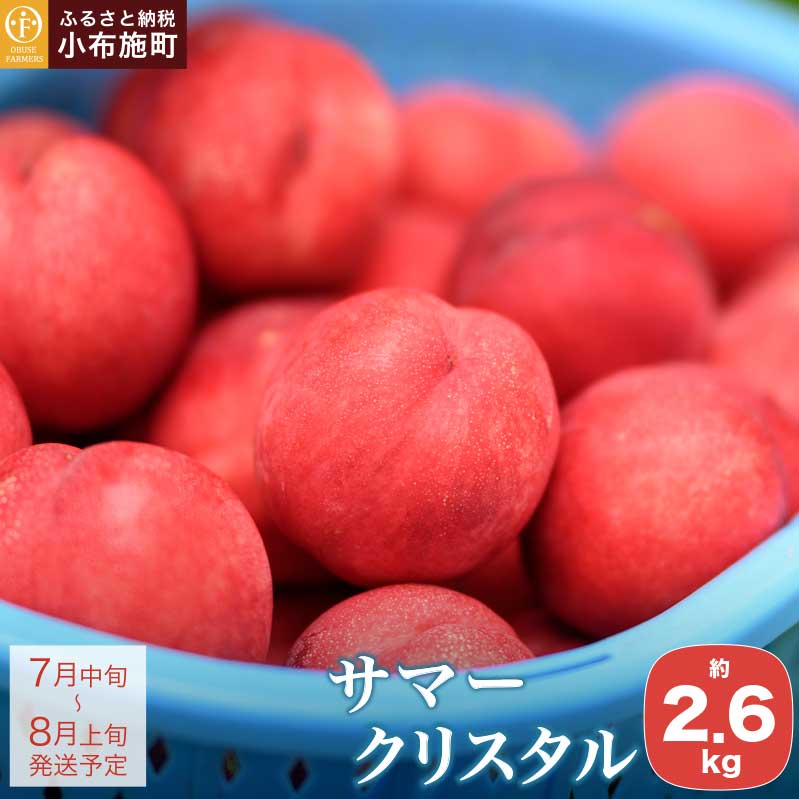 【ふるさと納税】 サマークリスタル 約2.6kg ［おぶせファーマーズ］先行予約 ネクタリン 果物 フルーツ 桃 もも 冷蔵便 クール便 長野県産 信州産 送料無料 令和7年産【2025年7月中旬〜8月上旬発送】