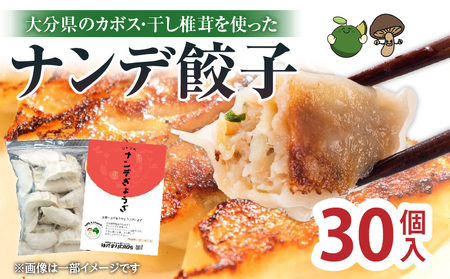 ナンデ餃子（30個入）_B173-001