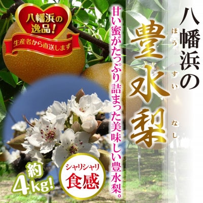 八幡浜の梨、果汁たっぷり!!「豊水」4キロ【D39-37】【配送不可地域：離島】【1316567】