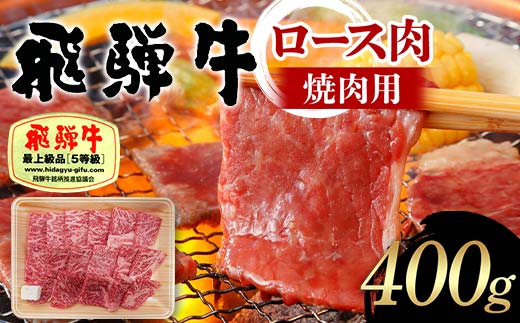 飛騨牛 A5等級 ロース肉 焼肉用 400g 牛 肉 等級 ロース 焼き肉 霜降り 飛騨 F4N-1685