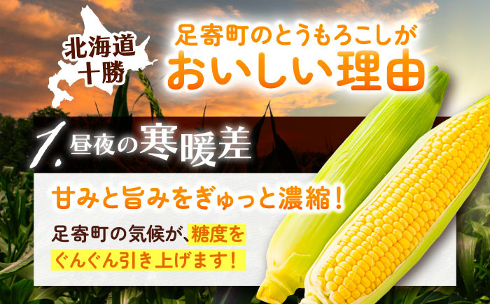 トウモロコシ 新鮮 北海道土産 ゴールド gold 北海道産 足寄町 北海道