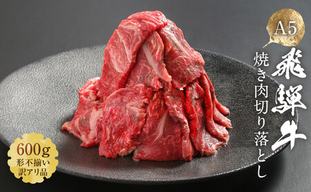 【形不揃い訳あり】A5等級飛騨牛 焼肉 切り落とし600g（冷蔵配送）| 焼肉 HF040VC13