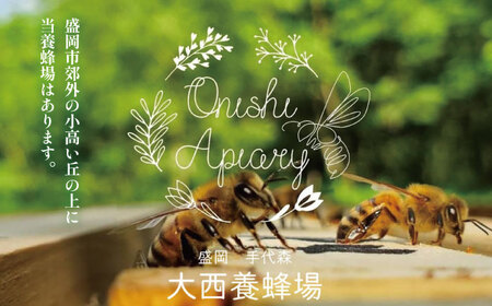 大西養蜂場 非加熱はちみつ さくら 600g 1本 ／ はちみつ 蜂蜜 ハチミツ 国産 【大西養蜂場】