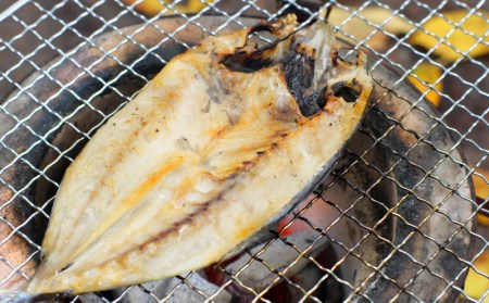  ひもの 干物 みりん干し 開き 丸干し 詰め合わせ イカ さんま カマス しらす いわし アジ 冷蔵 季節のおすすめ干物セットB（約20枚）  三重県紀宝町産 ※季節によって内容が異なります【ems