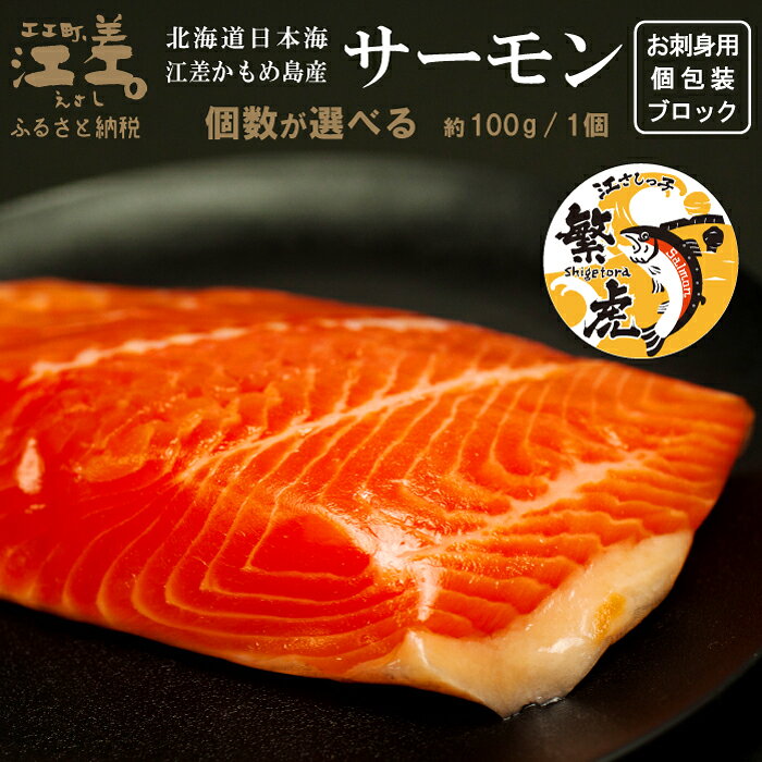 【ふるさと納税】＼配送月指定可／北海道産 サーモン お刺身用ブロック 〈個数が選べる〉 100グラムパック 個包装　純国産ブランドサーモン『江さしっ子 繁虎』　生食可　小分け　刺身　サーモンステーキ　のし対応可　贈答用　ギフト　お中元　お歳暮