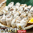 【ふるさと納税】＼先行予約／北海道 仙鳳趾名産 むき牡蠣 500g×1コ K5-5＜出荷時期：2025年5月20日以降 順次出荷＞ 豊洲市場で大人気のため期間限定出荷 北海道 釧路町 仙鳳趾 かき漁師直送 剥き 牡蠣 むき身 ワンストップ特例制度 オンライン 釧路町 釧路超 特産品