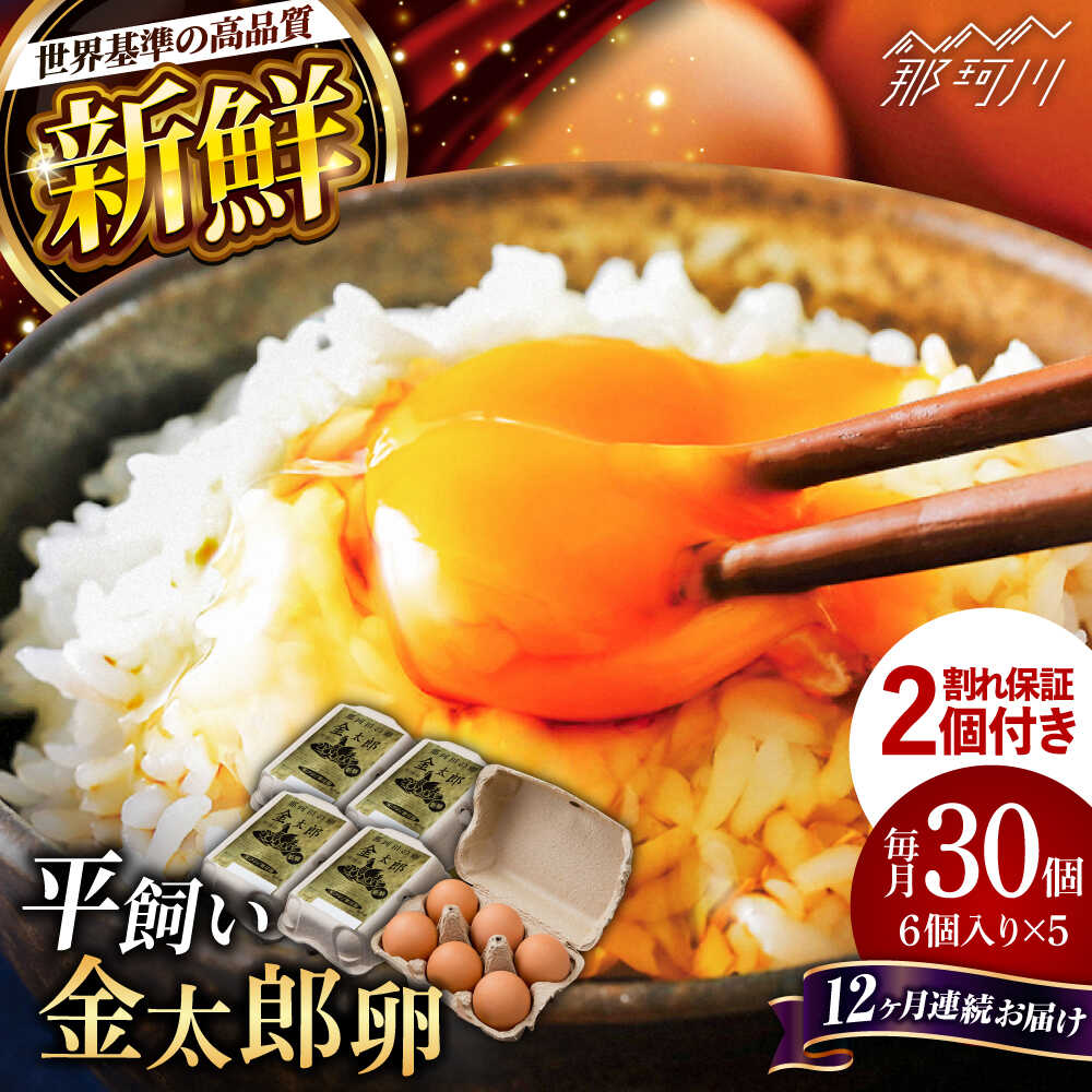 【ふるさと納税】【TVで紹介！】【全12回定期便】鮮度AA級の世界最高ランク！金太郎卵 平飼い たまご 30個（6個×5パック）＜有限会社 フジノ香花園＞那珂川市 | 父の日 母の日 定期便 卵 たまご 平飼い 定期便 卵かけご飯 お取り寄せ 新鮮 割れ保証付 [GAM019]