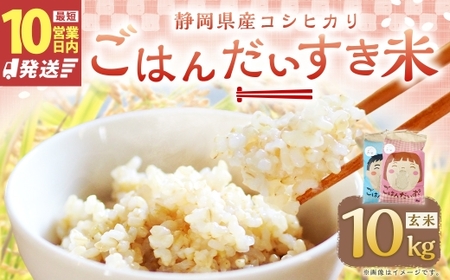 【10営業日発送】【令和7年産】静岡県産コシヒカリ 玄米 10kg （5kg×2袋） 【2026年8月下旬迄順次発送予定】 コシヒカリ こしひかり 米 コメ こめ ご飯 ごはん 菊川市 静岡県