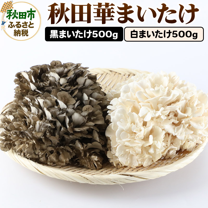 秋田華まいたけ 生まいたけセット 黒まいたけ 約500g 白まいたけ 約500g 舞茸