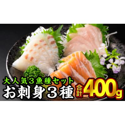 ふるさと納税 尾鷲市 大人気お刺身用スライスセット 3種セット