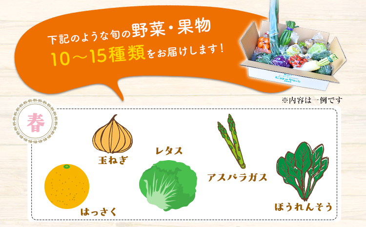 6ヶ月定期便 旬の新鮮野菜・果物詰合せセット(計6回お届け) たっぷり10-15品目 《お申込み月の翌月から出荷開始》 熊本県氷川町産 道の駅竜北