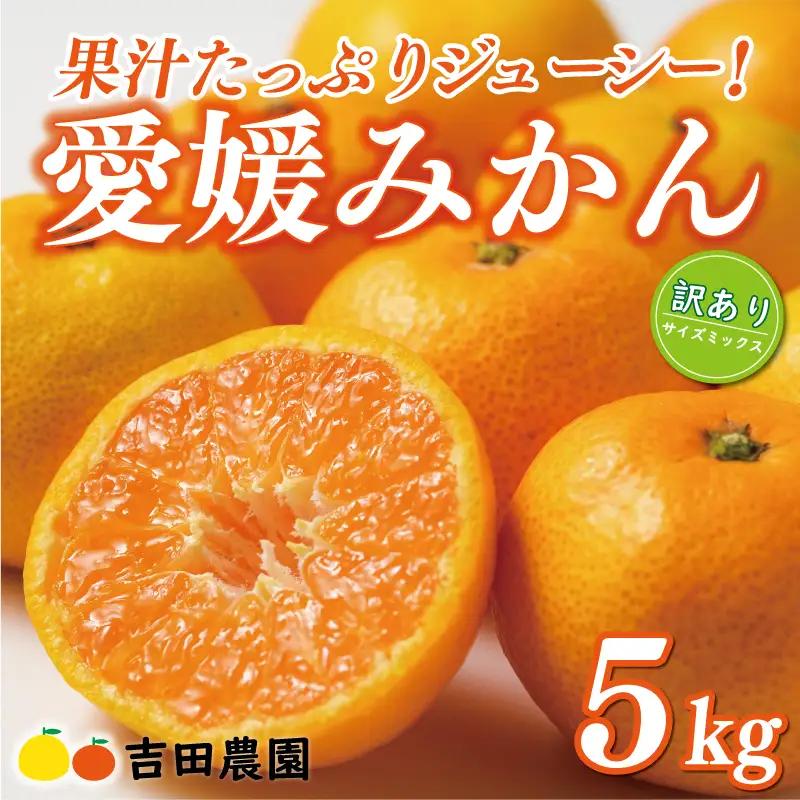 【愛媛みかん】 訳あり 5kg みかん