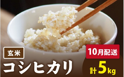 【先行予約】【 令和8年産　新米 】 有機JAS認証 オーガニックコシヒカリ 玄米 5kg×1袋（計5kg）《2026年10月発送》