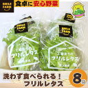 【ふるさと納税】洗わず食べられる！フリルレタス 8袋 | 埼玉県 東松山市 フリルレタス レタス サラダ 緑黄色野菜 洗わず食べる 野菜 サラダ 新鮮な 便利 ナチュラル グリーン サラダ野菜 ダイエット 農薬不使用 健康 冷しゃぶ みずみずしい 栄養豊富 栄養満点 美容 肉巻き