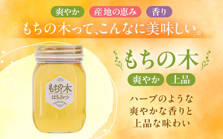 もちの木はちみつ（500g×2本） / はちみつ 国産 非加熱 純粋 蜂蜜 天然 ハチミツ / 稲沢市 / 椿園株式会社 [BMBI004]