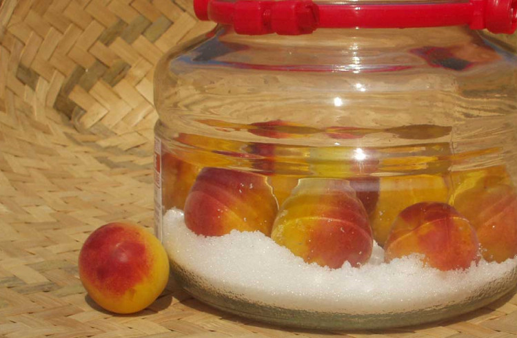 【梅干・梅酒用】（LまたはM－10Kg）熟南高梅＜2026年6月上旬～7月上旬ごろに順次発送予定＞フルーツ 果物 くだもの 食品 人気 おすすめ 送料無料【ART08】【art013B】