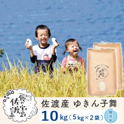 ふるさと納税 佐渡市 【毎月定期便】佐渡島産ゆきん子舞 無洗米10Kg(5Kg×2袋) 〜栽培期間中の農薬5割減〜全6回