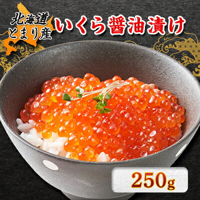 【ふるさと納税】北海道とまり産　いくら醤油漬け 250g×1パック【配送不可地域：離島】【1353116】