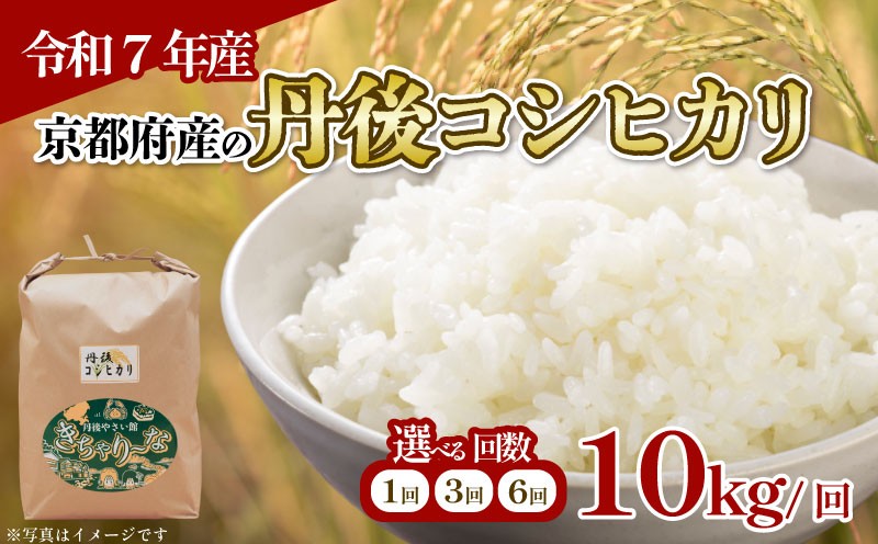 
                  【 令和7年産 特A米】 京都府産 丹後コシヒカリ 10kg  選べる  1・3・6回 定期便 (お米 キロ コメ ごはん ご飯 こしひかり 国産 ブランド米 か月 ヶ月 カ月 贈答品 ギフト ランキング 2025年JA京都 ふるさと納税 【お米の定期便】人気
                