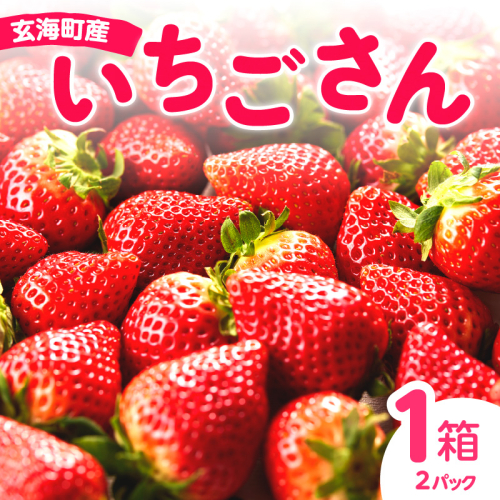 ★予約受付★平川いちご農園 佐賀県玄海町産いちご「いちごさん」2026年1月～4月順次配送