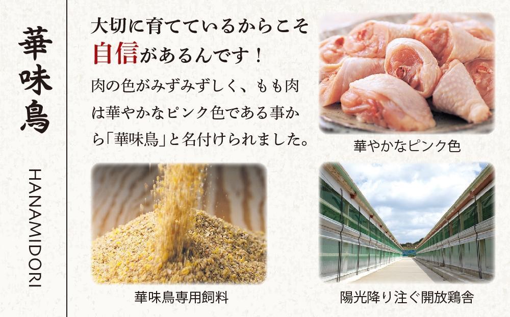 博多華味鳥　水たきセット　３～４人前　HS-A4 （ちゃんぽん麺付）