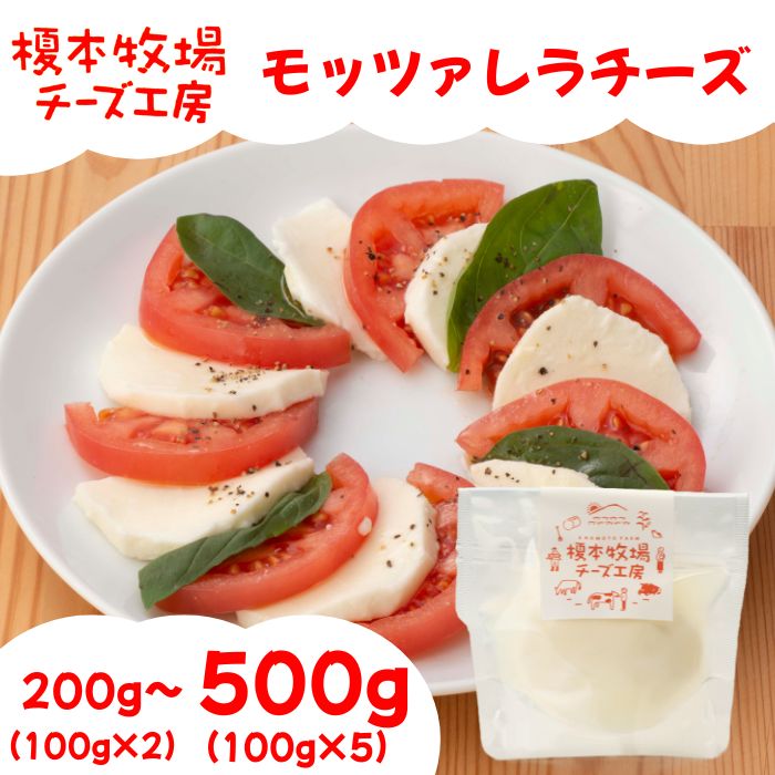 【ふるさと納税】モッツァレラチーズ 選べる容量 200～500g (100g×2～5)【榎本牧場チーズ工房】