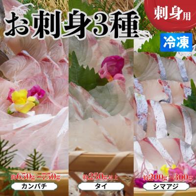 ふるさと納税 海陽町 《カンパチ・タイ・シマアジ》お刺身3種詰合せ(柵) 刺身用　小分けタイプ　冷凍でお届けします!