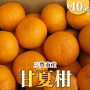 【ふるさと納税】【先行予約】 三豊市産“甘夏柑” 約10kg 11000円