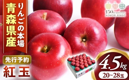 【2026年産・先行予約】りんご【紅玉】約4.5kg（20～28玉）★2026年10月中旬～11月上旬頃まで発送予定★ りんご 林檎 リンゴ 国産 紅玉 フルーツ 果物 贈答 土産 青森県 三戸町 R0214