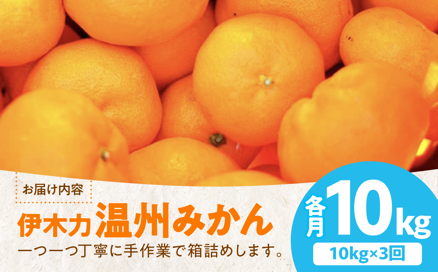 【3回定期便】伊木力温州みかん10kg (ご家庭用、箱入り)/ 伊木力 温州みかん 早生みかん　みかん ミカン 蜜柑 佐瀬 諫早 多良見 長崎 / 末永果樹園 [AHBD013]