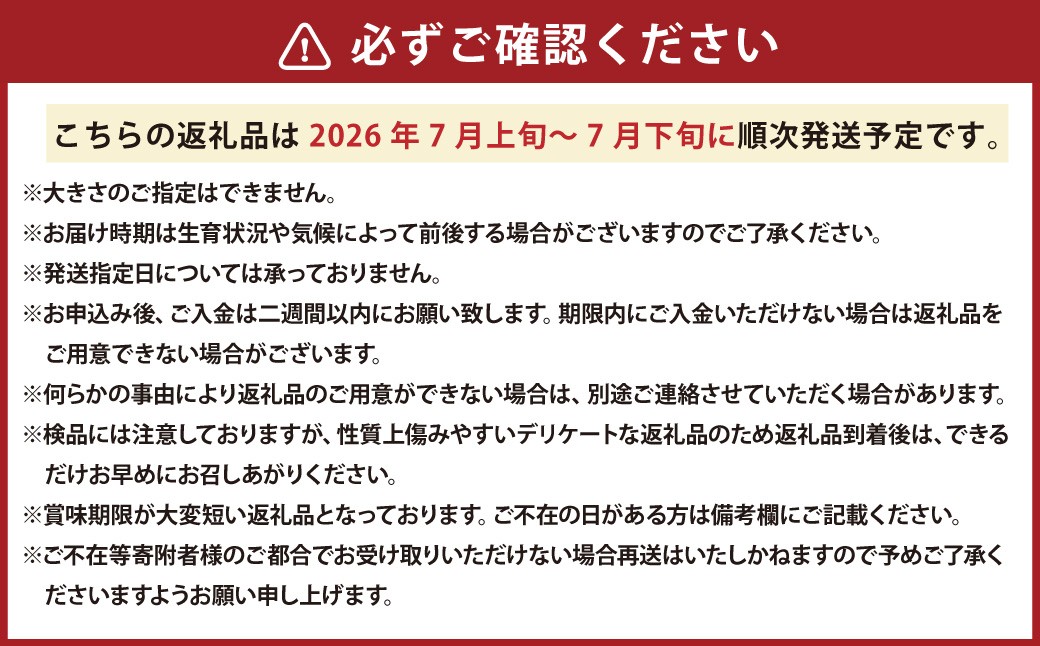 レッドメロン 5～6玉 （1玉 約1.6kg）