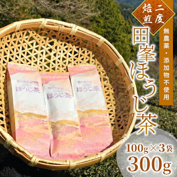 【ふるさと納税】無農薬・無添加 香り豊かな田峯のほうじ茶 100g×3袋セット お茶 茶 ほうじ茶 -001